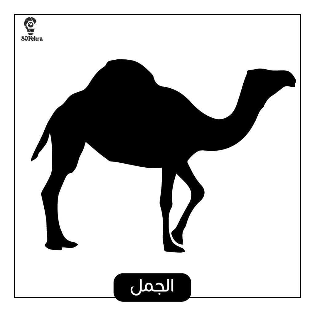 بطاقات أبيض وأسود – Sam Books
