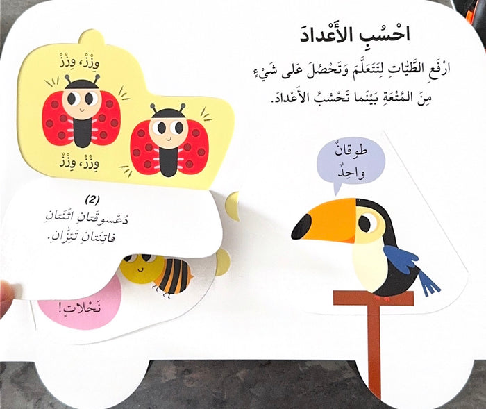 كتاب جولة مدرسية