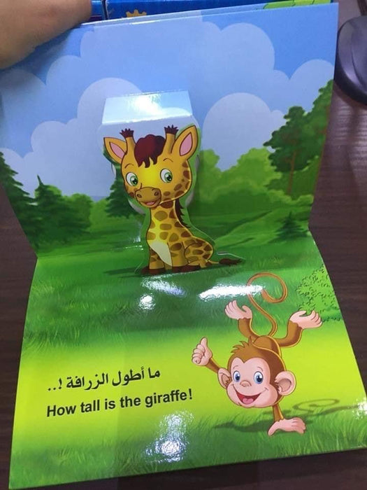 كتابي المجسم