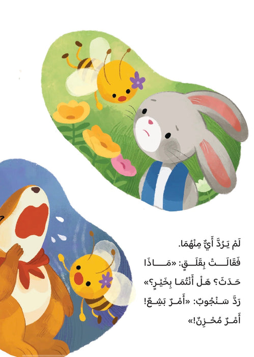 مخاطر وادي اللوز