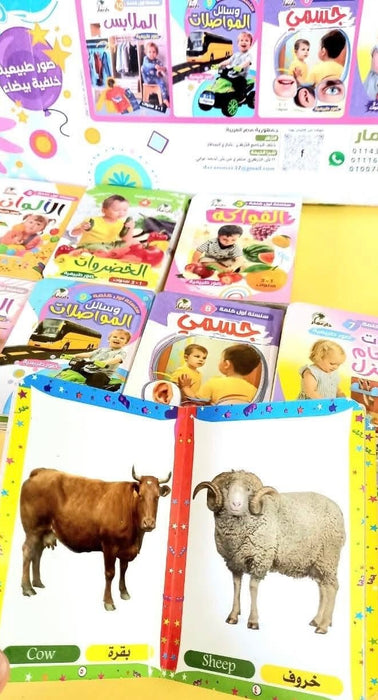 سلسلة أول كلمة التعليمية