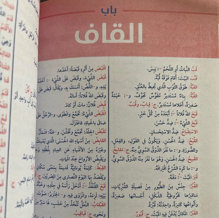 معجم الإرشاد الأصغر المدرسي