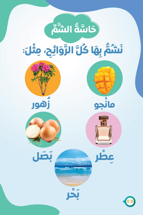 مجموعة حكاية وبداية