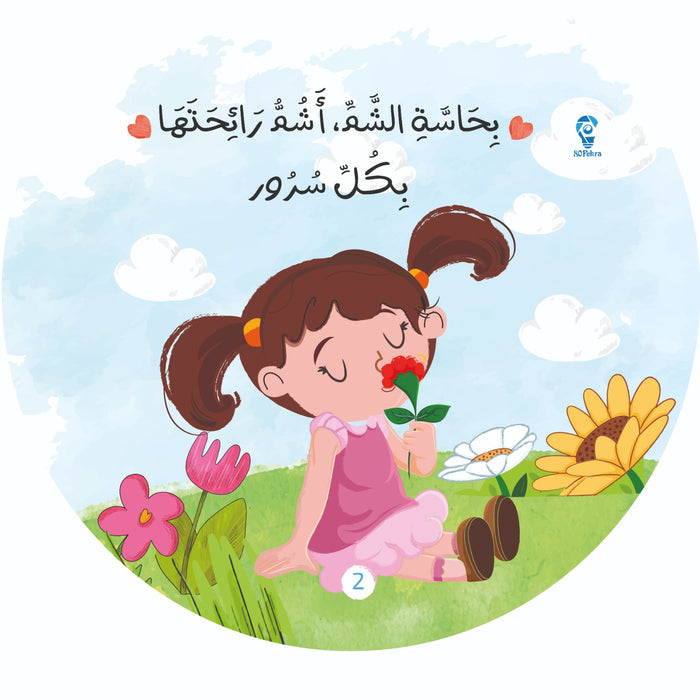 مجموعة حكاية وبداية