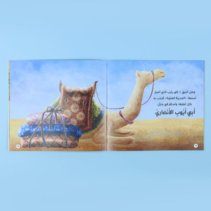 قصص الانبياء للصغار - 12 كتاب